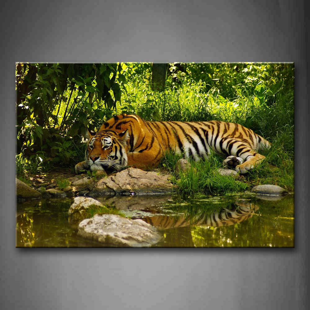 Tiger Lie Near Pool Trees  Wall Art Painting The Picture Print On Canvas Animal Pictures For Home Decor Decoration Gift 