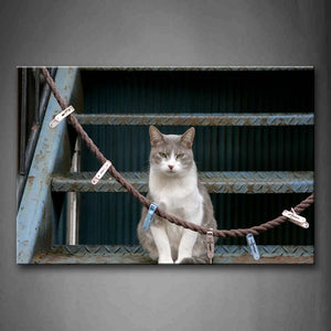 White Cat Sit On Stairs Wall Art Painting Pictures Print On Canvas Animal The Picture For Home Modern Decoration 