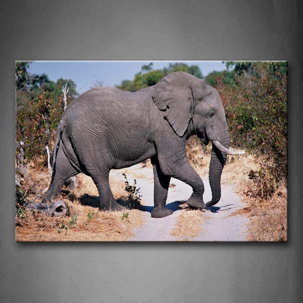 Elephant Walk On Road Near Trees Wall Art Painting The Picture Print On Canvas Animal Pictures For Home Decor Decoration Gift 