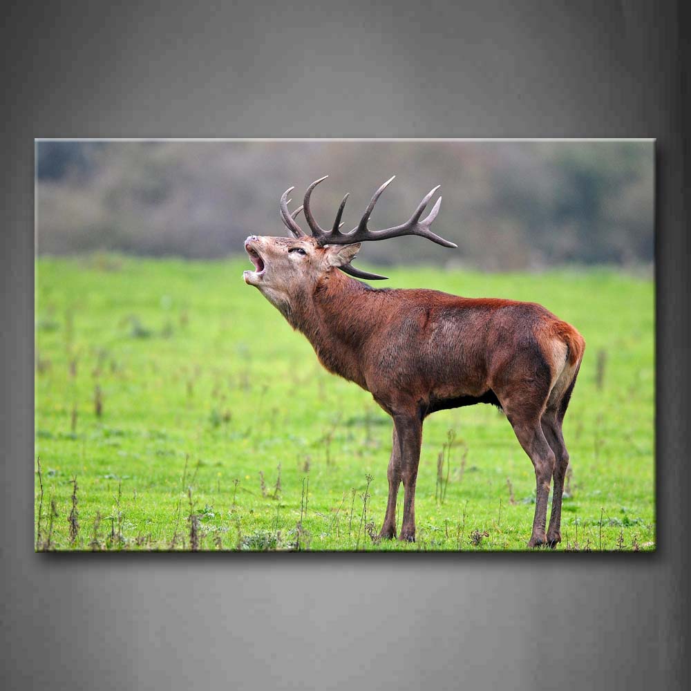 Red Deer Stand On Grass Open Mouth  Wall Art Painting Pictures Print On Canvas Animal The Picture For Home Modern Decoration 