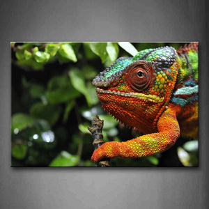 Colorful Chameleon Near Leaves Wall Art Painting The Picture Print On Canvas Animal Pictures For Home Decor Decoration Gift 