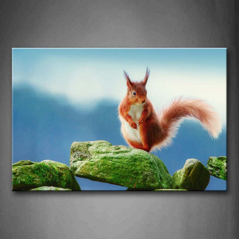 Red Squirrel Stand On Stones  Wall Art Painting Pictures Print On Canvas Animal The Picture For Home Modern Decoration 