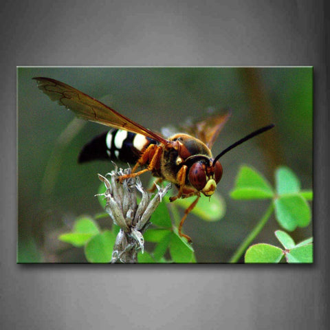 Big Wasp Stay On Leaf  Wall Art Painting The Picture Print On Canvas Animal Pictures For Home Decor Decoration Gift 