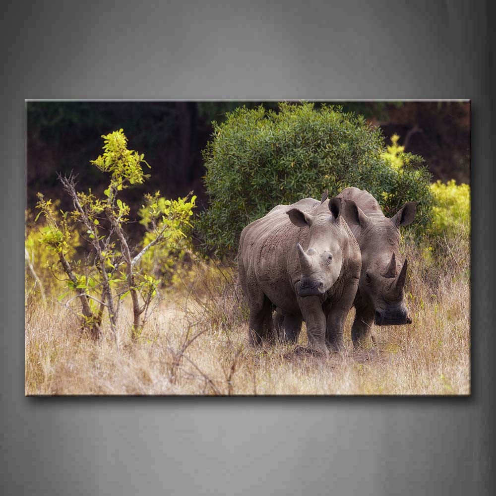 Two Rhinos Stand On Withered Grass  Wall Art Painting The Picture Print On Canvas Animal Pictures For Home Decor Decoration Gift 