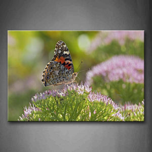 Arabesquitic Butterfly Stay On Flowers Wall Art Painting Pictures Print On Canvas Animal The Picture For Home Modern Decoration 