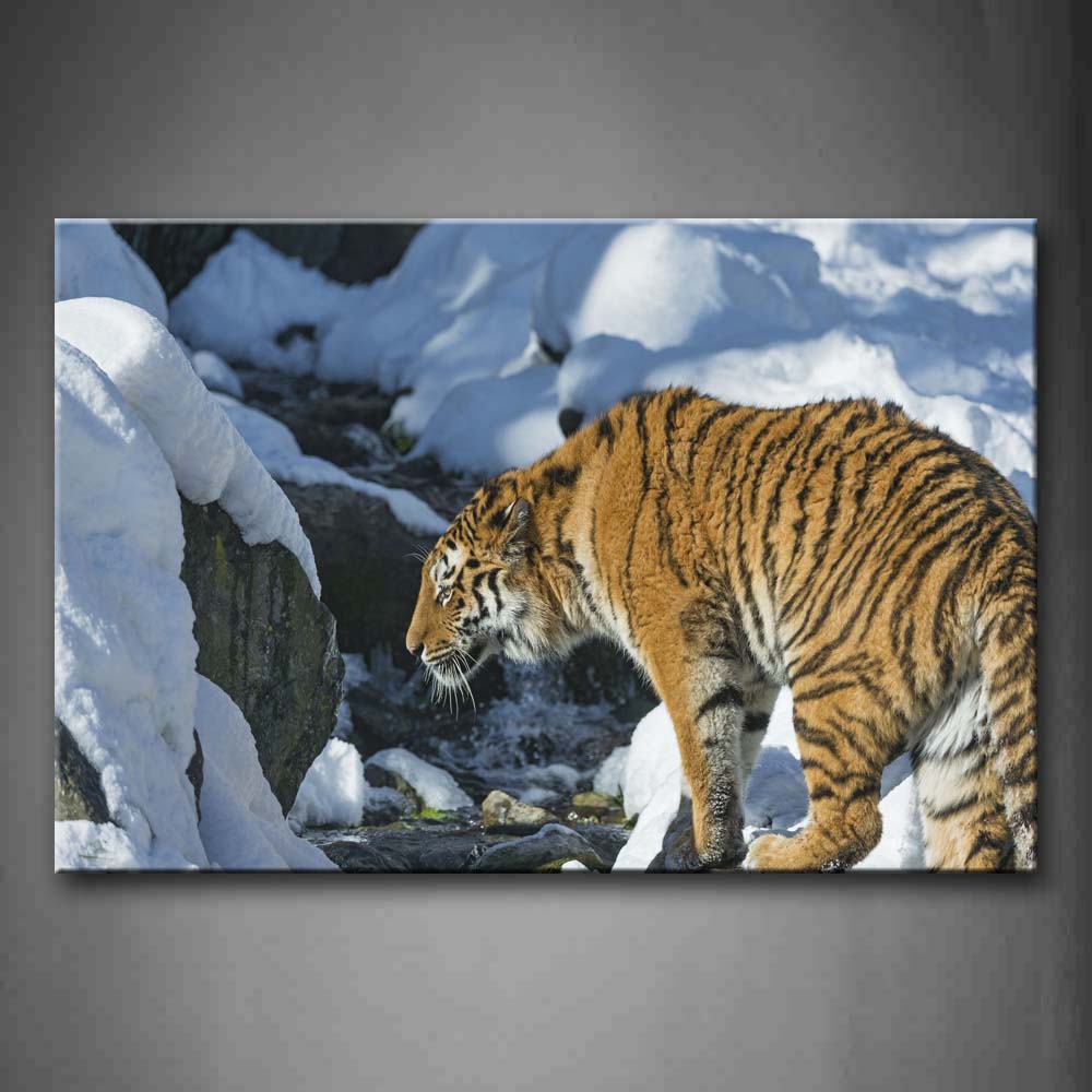 Tiger Stand On Ice Land Near Rocks  Wall Art Painting Pictures Print On Canvas Animal The Picture For Home Modern Decoration 