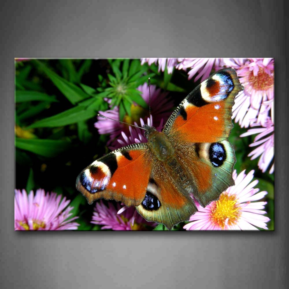 Brown Butterfly Stop On Purple Flower Wall Art Painting The Picture Print On Canvas Animal Pictures For Home Decor Decoration Gift 