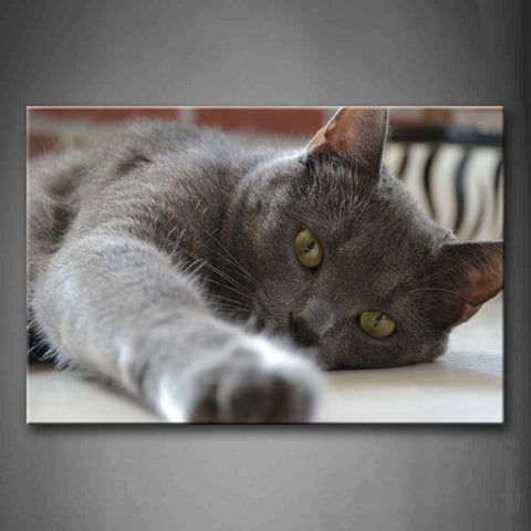 Gray Cat Lie On Ground  Wall Art Painting The Picture Print On Canvas Animal Pictures For Home Decor Decoration Gift 