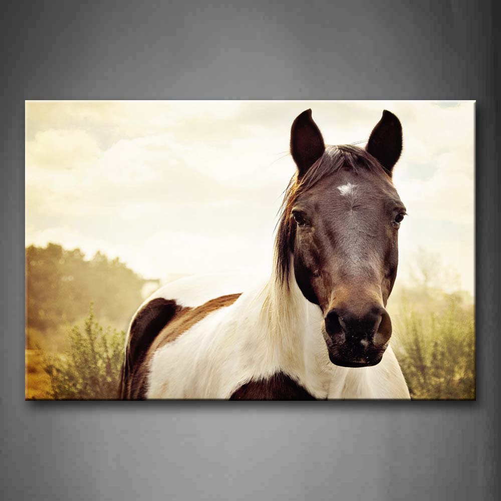 White Horse Stand On Lawn Wall Art Painting The Picture Print On Canvas Animal Pictures For Home Decor Decoration Gift 