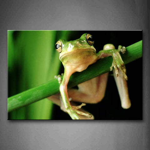 Frog Hug A Green Branch  Wall Art Painting Pictures Print On Canvas Animal The Picture For Home Modern Decoration 