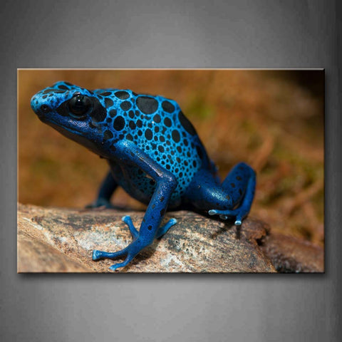 Blue Poison Dart Frog Sit On Stone  Wall Art Painting The Picture Print On Canvas Animal Pictures For Home Decor Decoration Gift 