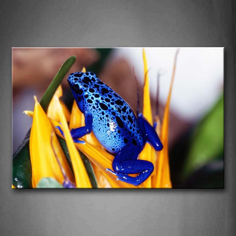 Blue Poison Dart Frog Stay On Yellow Leaf Wall Art Painting Pictures Print On Canvas Animal The Picture For Home Modern Decoration 