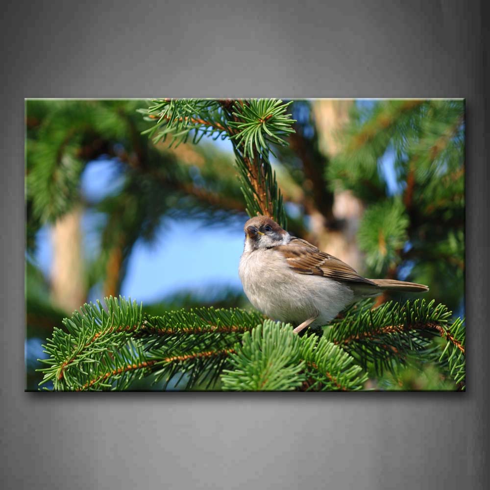 White Bird Stand On Branch With Leaves Wall Art Painting Pictures Print On Canvas Animal The Picture For Home Modern Decoration 