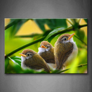 Three Cute Bird Stand On Branch Wall Art Painting The Picture Print On Canvas Animal Pictures For Home Decor Decoration Gift 