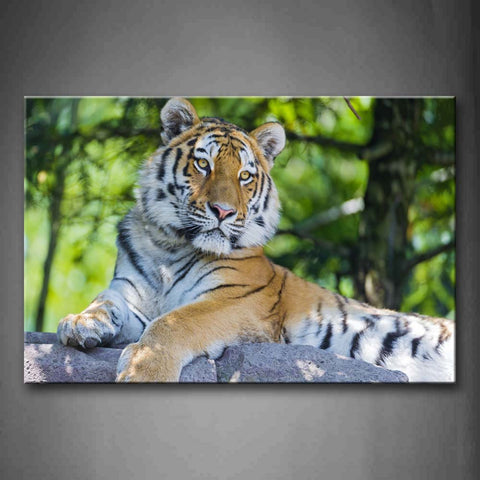 Tiger Lie On Stone Near Trees Wall Art Painting The Picture Print On Canvas Animal Pictures For Home Decor Decoration Gift 