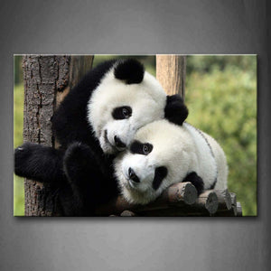 Two Pandas Lie On Wood  Wall Art Painting Pictures Print On Canvas Animal The Picture For Home Modern Decoration 