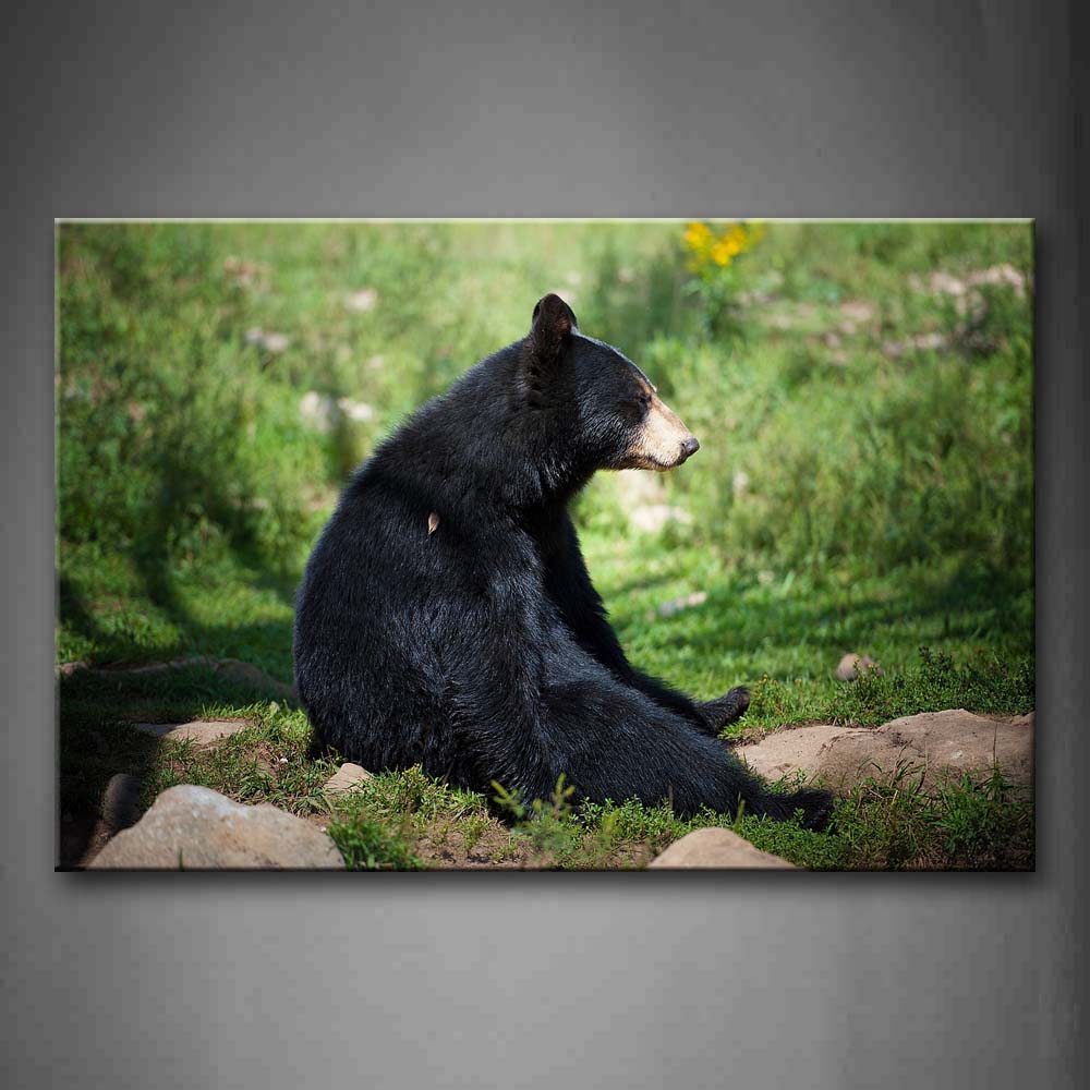 Black Bear Sit On Lawn Near Stones Wall Art Painting Pictures Print On Canvas Animal The Picture For Home Modern Decoration 