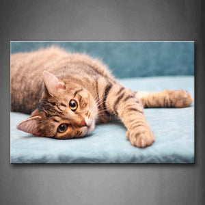 Yellow Cat Lie On Stone  Wall Art Painting The Picture Print On Canvas Animal Pictures For Home Decor Decoration Gift 