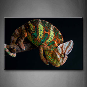 Chameleon At Black Background Wall Art Painting Pictures Print On Canvas Animal The Picture For Home Modern Decoration 