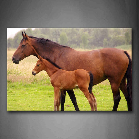 An Old Horse And Baby Horse Stand On Grass Wall Art Painting Pictures Print On Canvas Animal The Picture For Home Modern Decoration 