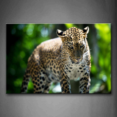 Leopard Walk In Forest Wall Art Painting The Picture Print On Canvas Animal Pictures For Home Decor Decoration Gift 