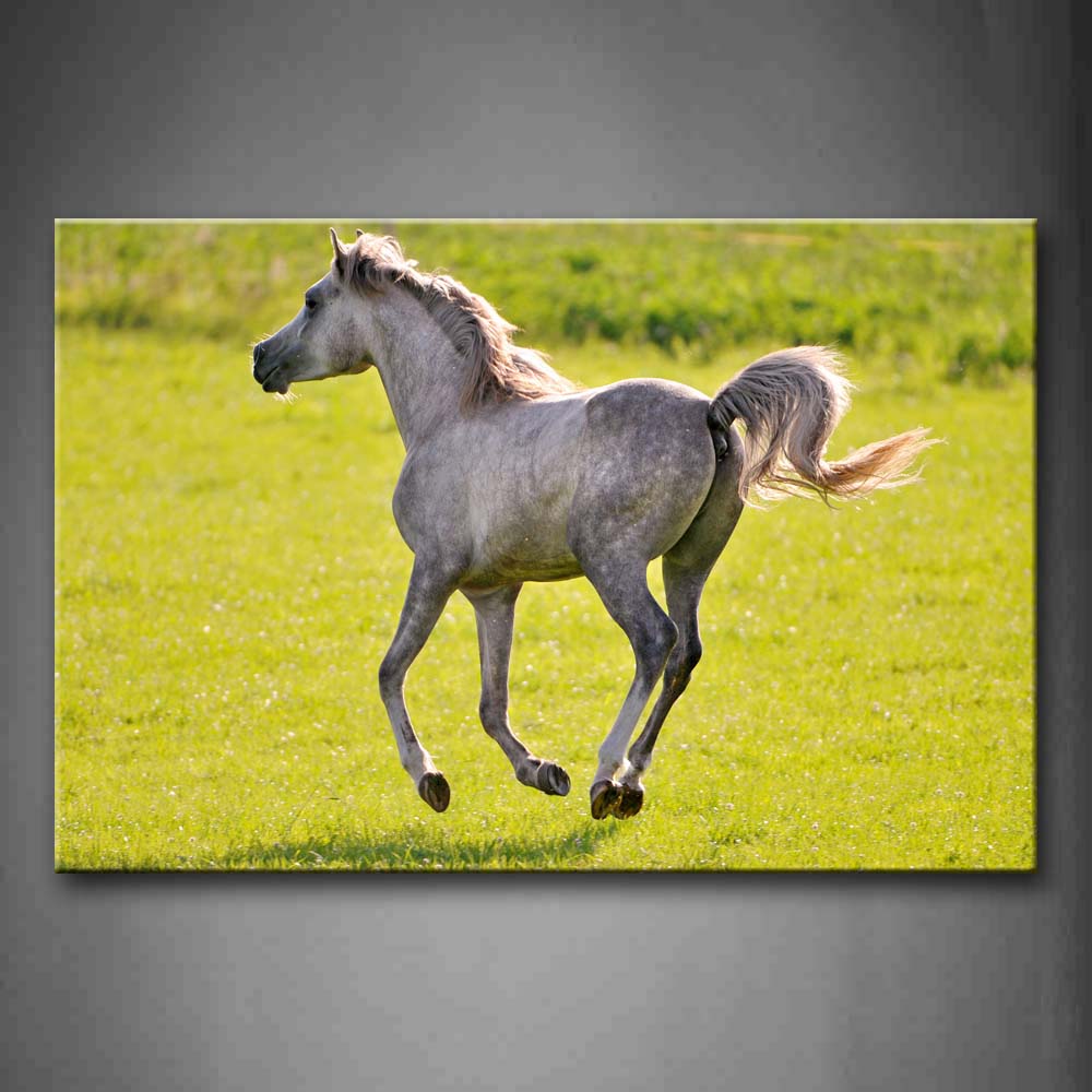 Horse Run On Lawn  Wall Art Painting Pictures Print On Canvas Animal The Picture For Home Modern Decoration 