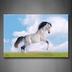 White Horse Run On Lawn Wall Art Painting The Picture Print On Canvas Animal Pictures For Home Decor Decoration Gift 