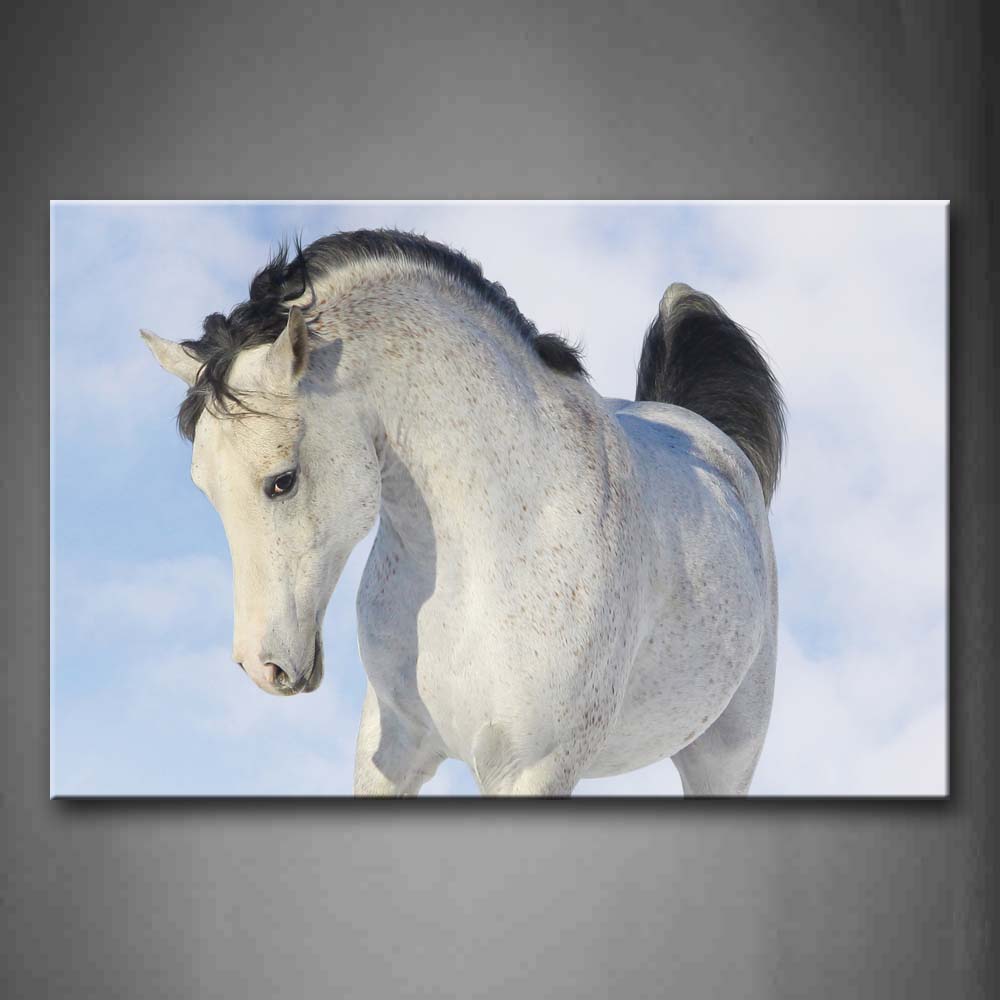 White Horse Look Down Wall Art Painting The Picture Print On Canvas Animal Pictures For Home Decor Decoration Gift 