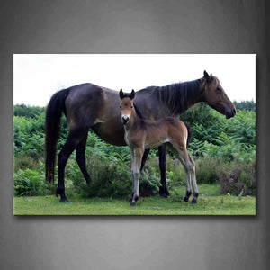 Two Horses Stand On Lawn Near Trees Wall Art Painting The Picture Print On Canvas Animal Pictures For Home Decor Decoration Gift 