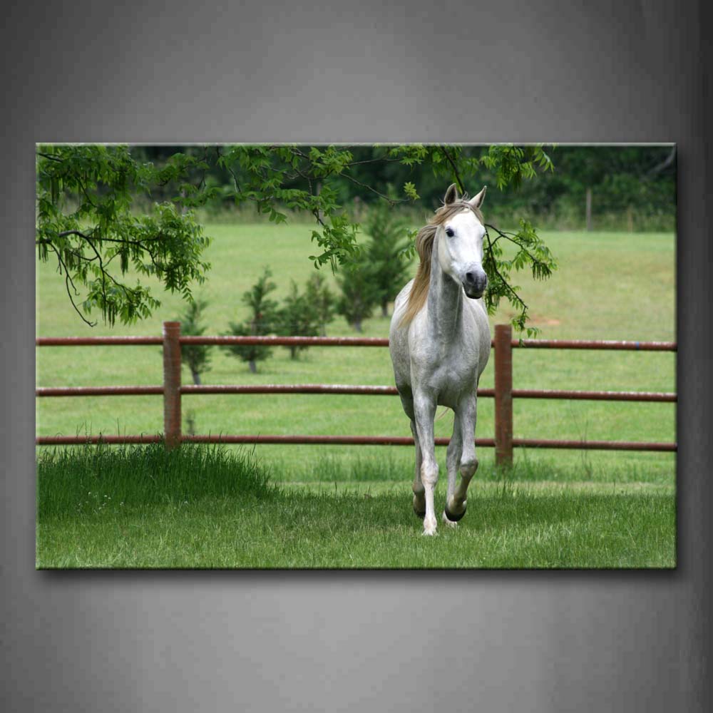 White Horse Walk On Lawn Near Fence Wall Art Painting The Picture Print On Canvas Animal Pictures For Home Decor Decoration Gift 