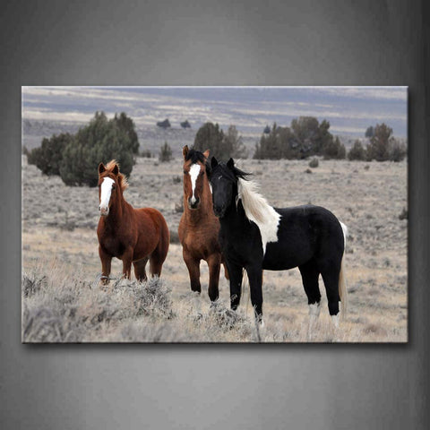 Black Horse And Brown Horse Stand On Lawn  Wall Art Painting The Picture Print On Canvas Animal Pictures For Home Decor Decoration Gift 