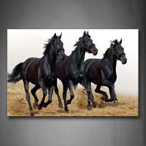 Three Black Horses Run On Sand Land Wall Art Painting Pictures Print On Canvas Animal The Picture For Home Modern Decoration 