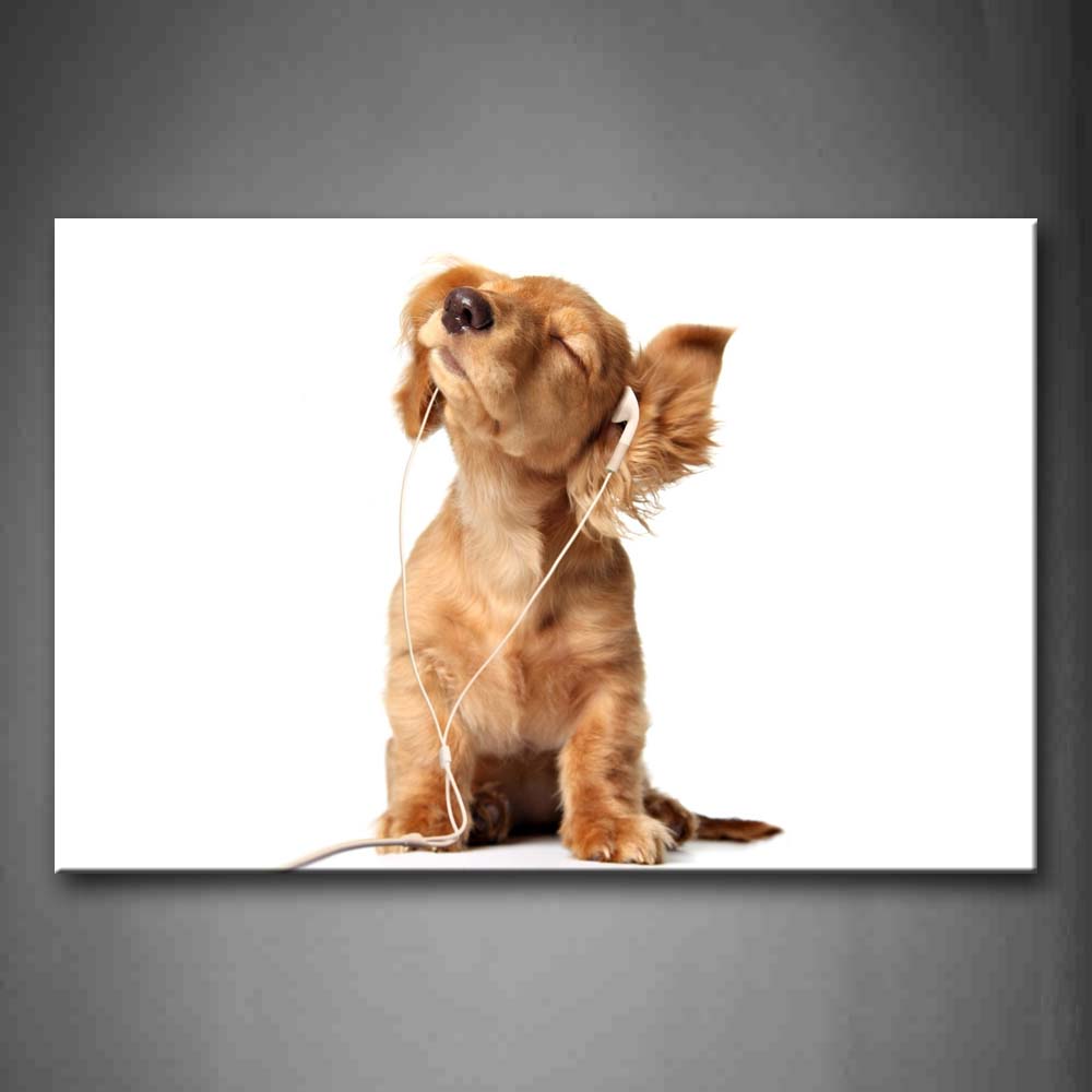 Brown Yellow Dog Wear Earphone Wall Art Painting The Picture Print On Canvas Animal Pictures For Home Decor Decoration Gift 