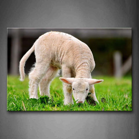 Lambkin Eat Grass  Wall Art Painting The Picture Print On Canvas Animal Pictures For Home Decor Decoration Gift 