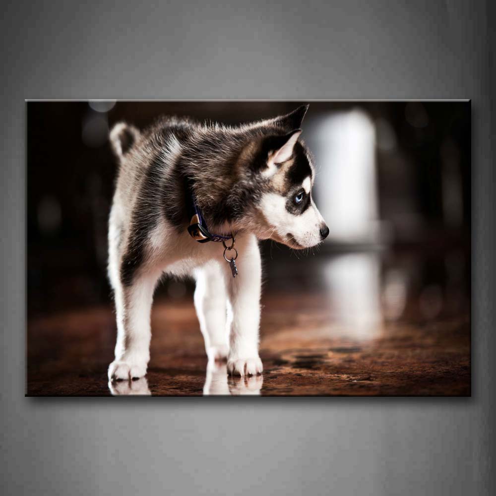 Dog Stand On Ground Look Back Wall Art Painting Pictures Print On Canvas Animal The Picture For Home Modern Decoration 