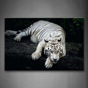 Black And White White Tiger Lie On Dry Wood Wall Art Painting The Picture Print On Canvas Animal Pictures For Home Decor Decoration Gift 