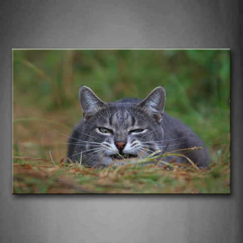 Gray Cat Lie On Grass  Wall Art Painting The Picture Print On Canvas Animal Pictures For Home Decor Decoration Gift 