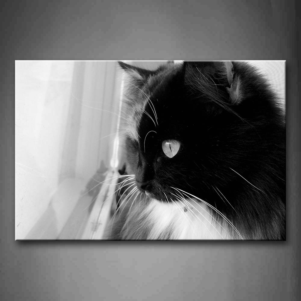 Black And White Black Cat Look At Window Wall Art Painting The Picture Print On Canvas Animal Pictures For Home Decor Decoration Gift 