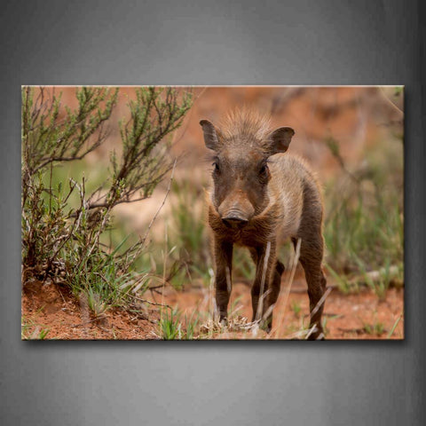 Boar Stand On Land Near Grass Wall Art Painting The Picture Print On Canvas Animal Pictures For Home Decor Decoration Gift 