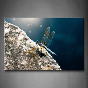 Dragonfly Stop On Stone Wall Art Painting Pictures Print On Canvas Animal The Picture For Home Modern Decoration 