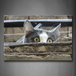 Cat Hide In Back Of Stone  Wall Art Painting The Picture Print On Canvas Animal Pictures For Home Decor Decoration Gift 