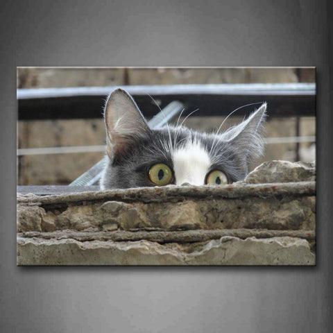 Cat Hide In Back Of Stone  Wall Art Painting The Picture Print On Canvas Animal Pictures For Home Decor Decoration Gift 