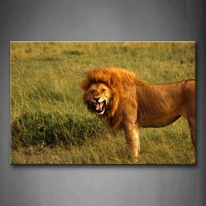 Lion Stand On Lawn Open Mouth Wall Art Painting Pictures Print On Canvas Animal The Picture For Home Modern Decoration 