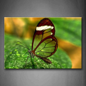 Butterfly Stop On Big Green Leaf Wall Art Painting The Picture Print On Canvas Animal Pictures For Home Decor Decoration Gift 