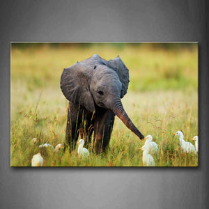 Elephant Play With Ducks On Lawn Wall Art Painting The Picture Print On Canvas Animal Pictures For Home Decor Decoration Gift 