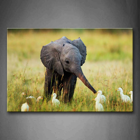 Elephant Play With Ducks On Lawn Wall Art Painting The Picture Print On Canvas Animal Pictures For Home Decor Decoration Gift 