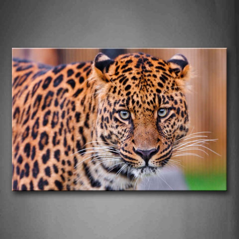 The Bust Of Leopard Wall Art Painting Pictures Print On Canvas Animal The Picture For Home Modern Decoration 