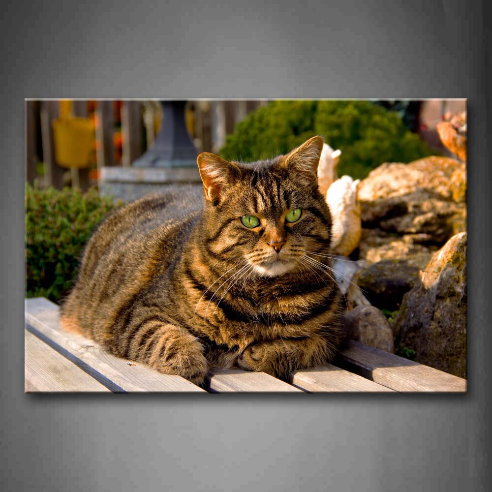 Fat Cat Lie On Wooden Ground Near Stones Wall Art Painting The Picture Print On Canvas Animal Pictures For Home Decor Decoration Gift 