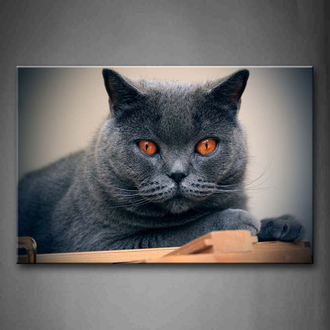 Gray Cat Lie On Wood  Wall Art Painting Pictures Print On Canvas Animal The Picture For Home Modern Decoration 