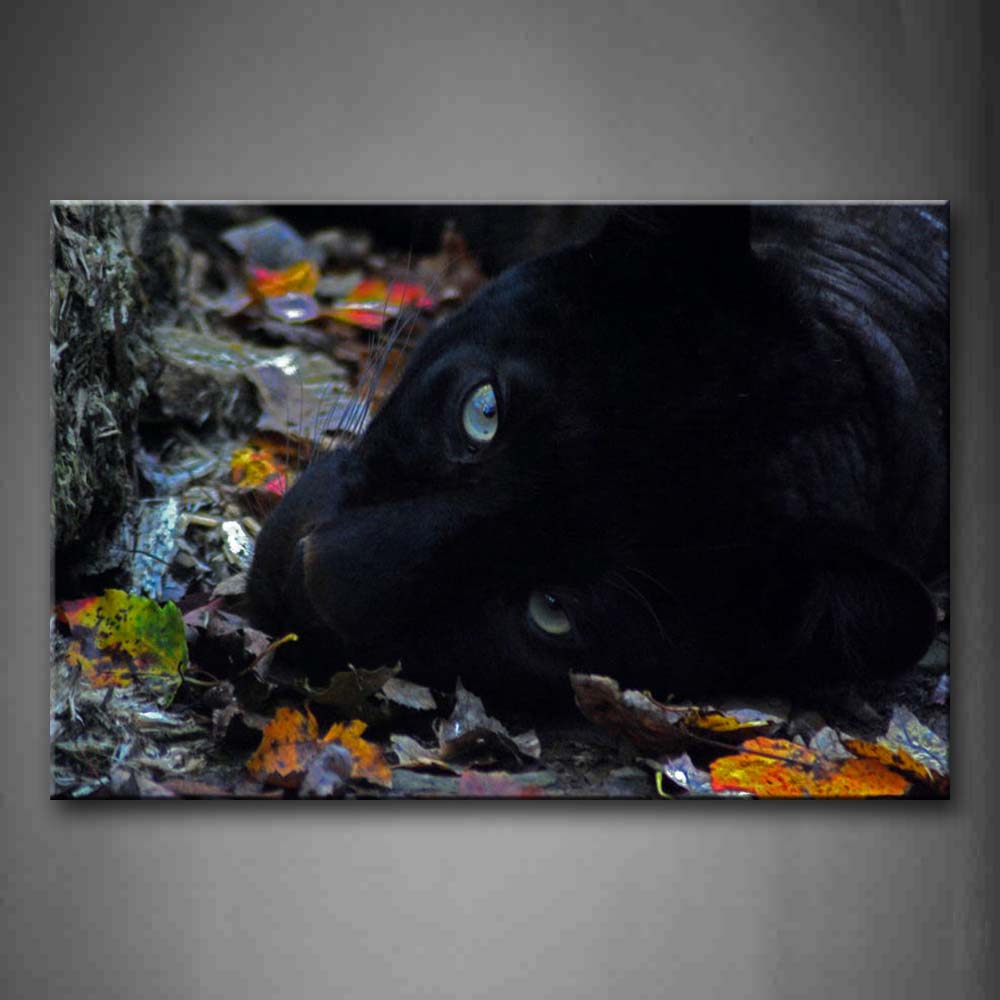 Black Panther Lie On Land With Leaves Wall Art Painting Pictures Print On Canvas Animal The Picture For Home Modern Decoration 